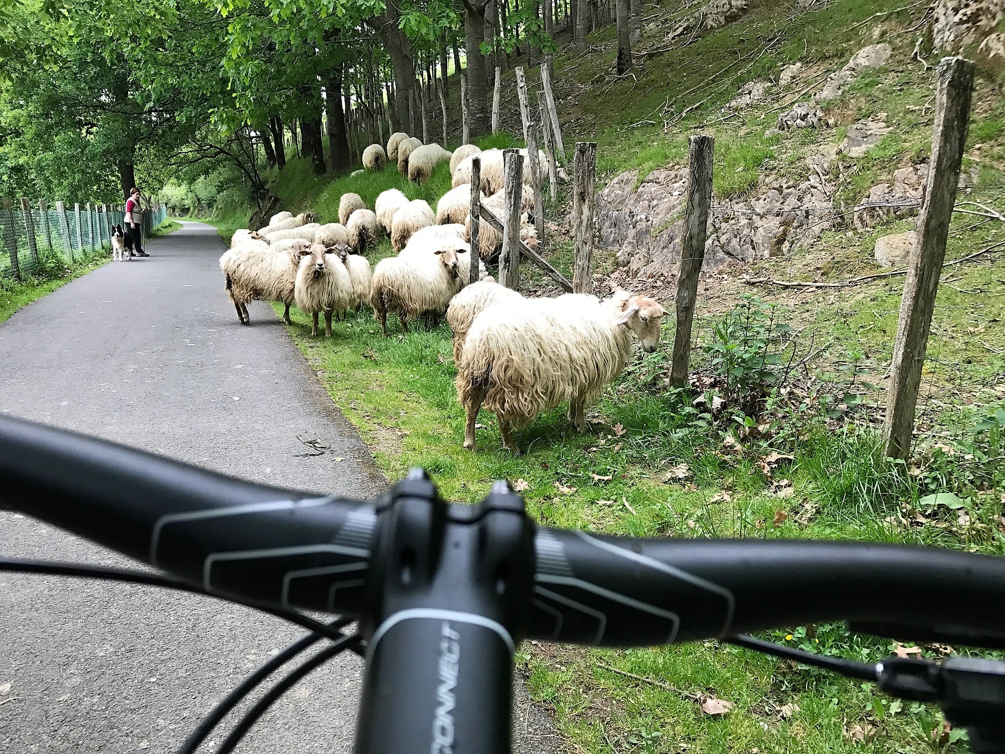 rural bike ride