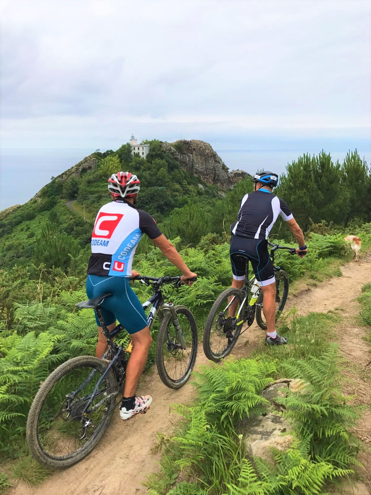 private Basque cycling tour