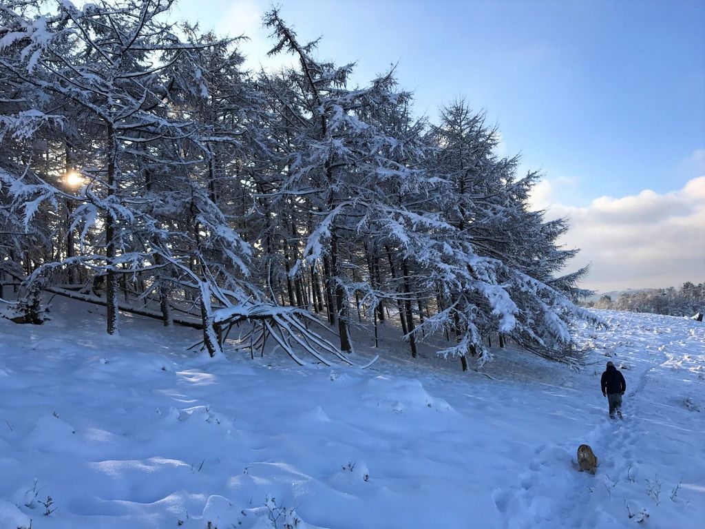 Snow San Sebastian