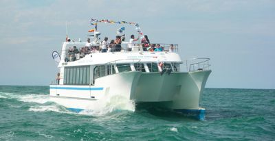 caratamaran-san-sebastian Corporate sailing tour