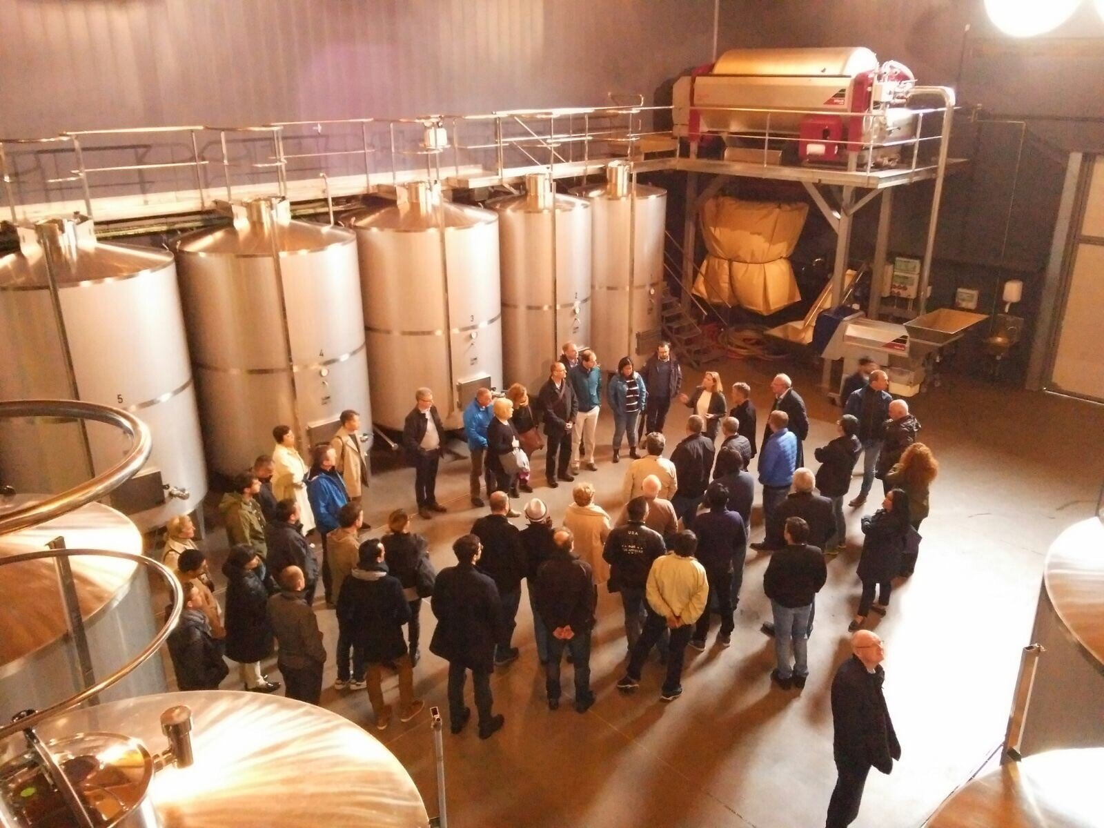 txakoli bodega Txakoli tour