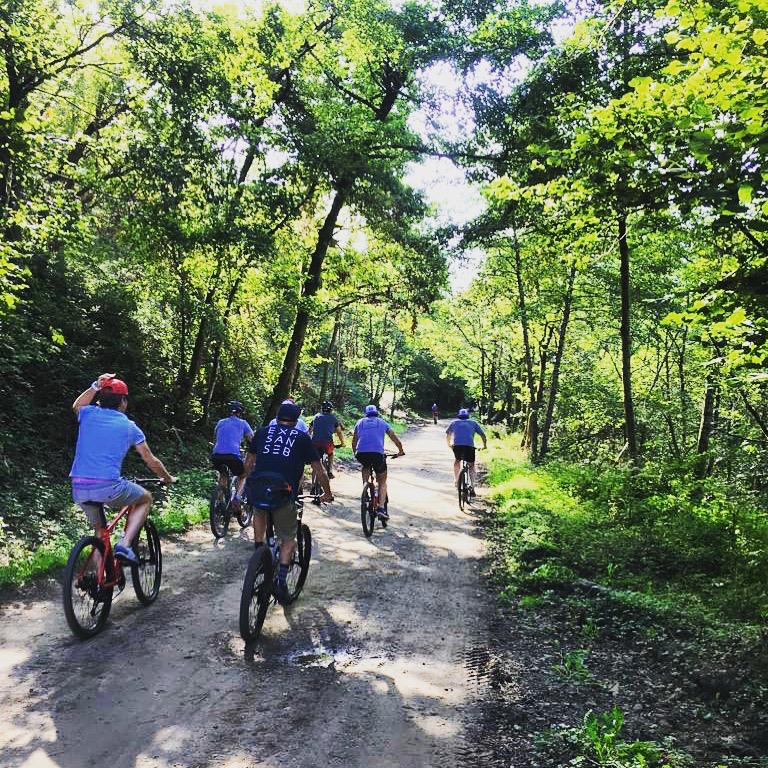 acd50fe8-9d31-444a-a055-e3ec51d5626f