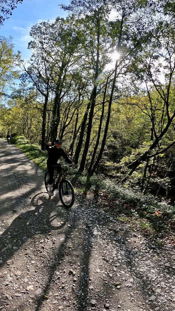 mountain biking in the woods Basque Country